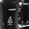 HARIO ハリオ ビーカーサーバー 300ml 泡立て器 セット 日本製 BV-300 - フライパン専門店 鐵兎堂-TETTODO-